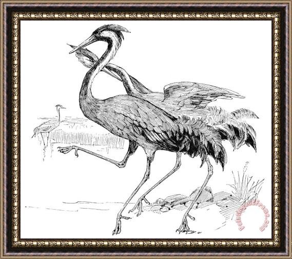 Others Crane Framed Painting