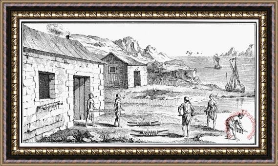 Others CURING FISH, 18th CENTURY Framed Print