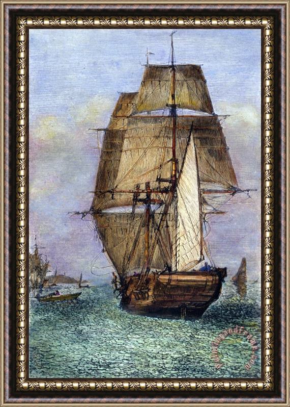 Others Darwin: Hms Beagle Framed Painting