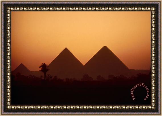 Others Egypt: Giza Pyramids Framed Painting