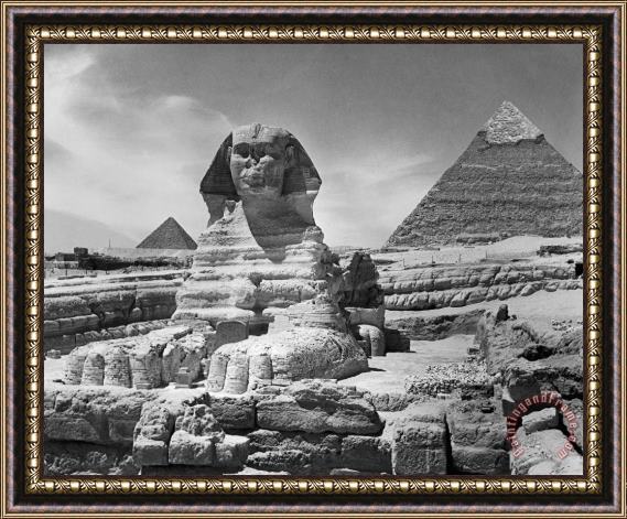 Others Egypt: Great Sphinx Framed Print