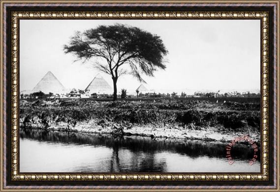 Others Egypt: Pyramids Framed Painting