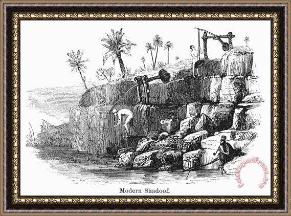 Others Egypt: Shadoof Irrigation Framed Painting