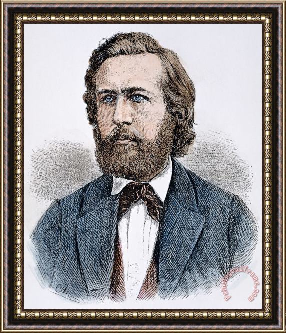 Others Ernst Heinrich Haeckel Framed Painting