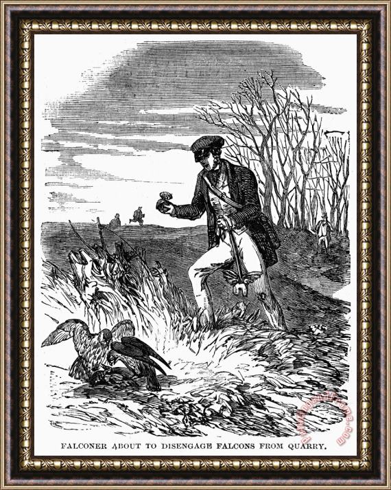 Others Falconry, 1850 Framed Painting