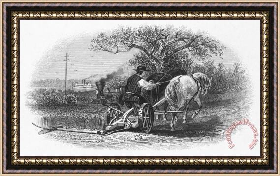 Others FARMING, c1870 Framed Painting