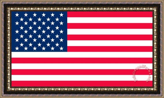 Others Flag Of The United States Of America Framed Painting