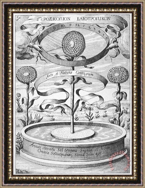 Others Flower Clock, 1643 Framed Print