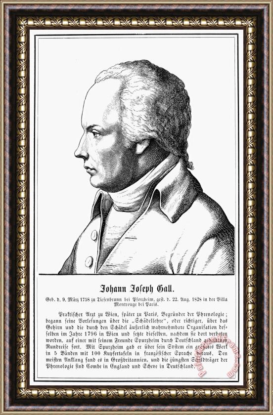 Others Franz Joseph Gall (1758-1828) Framed Painting