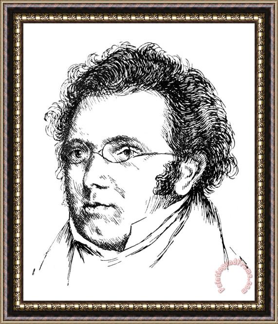 Others Franz Schubert (1797-1828) Framed Painting