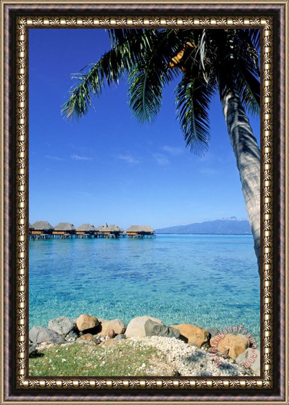 Others French Polynesia Tahiti Moorea Framed Painting