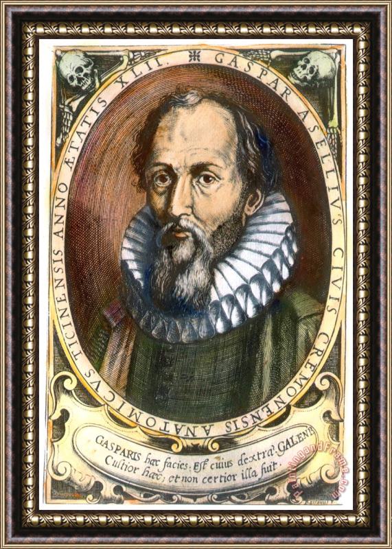 Others Gasparo Aselli (1581-1626) Framed Print