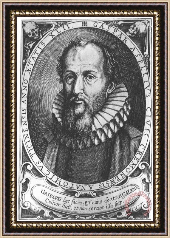 Others Gasparo Aselli (1581-1626) Framed Print