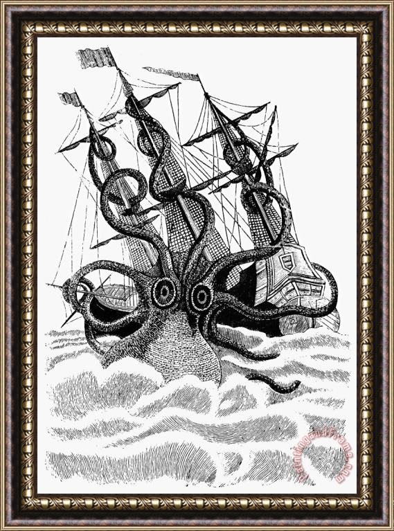 Others Giant Octopus Framed Print