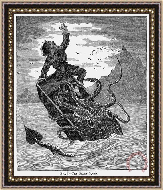 Others Giant Squid, 1879 Framed Painting
