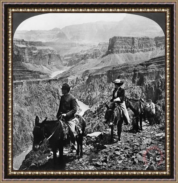 Others Grand Canyon: Sightseers Framed Painting