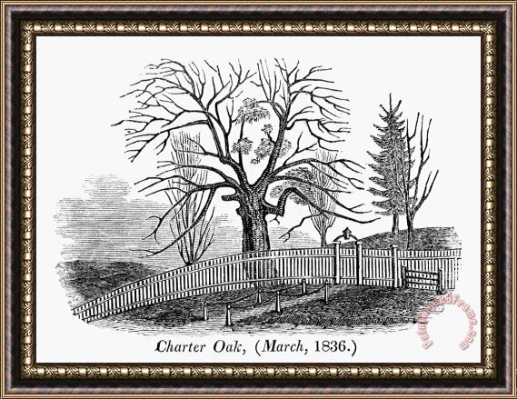 Others Hartford: Charter Oak Framed Painting