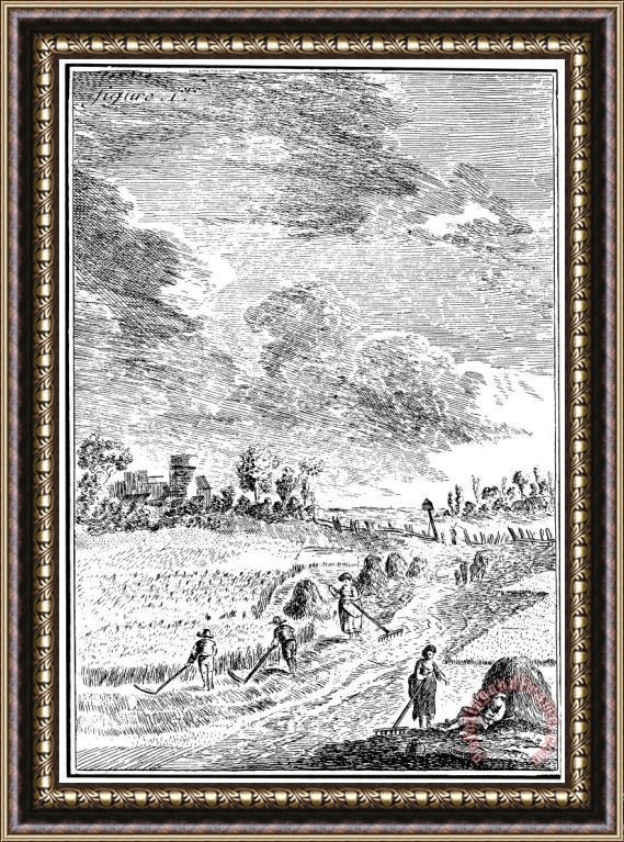 Others HARVESTING, 18th CENTURY Framed Painting