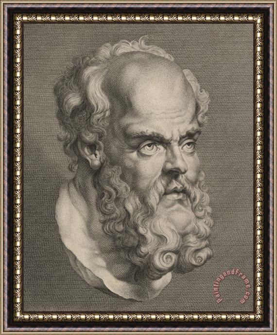 Others Head Of Socrates Framed Print