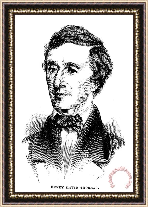 Others Henry David Thoreau Framed Print