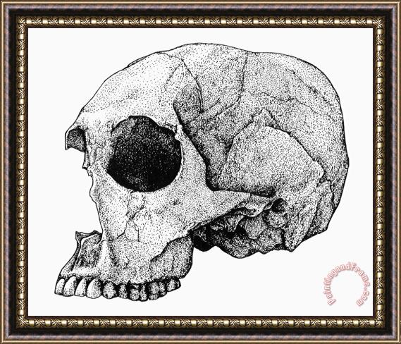 Others Homo Sapiens Framed Painting