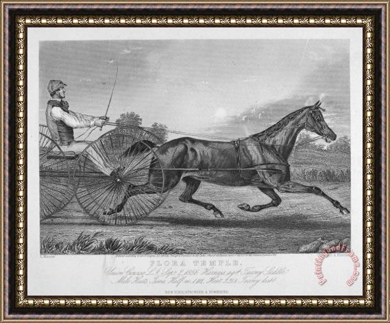 Others Horse Racing, 1857 Framed Painting