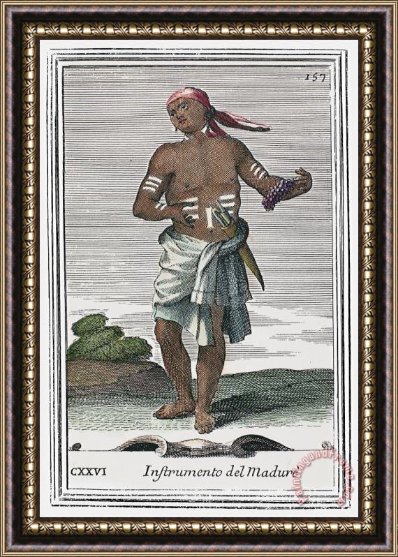Others Indian Percussive Rattle Framed Print