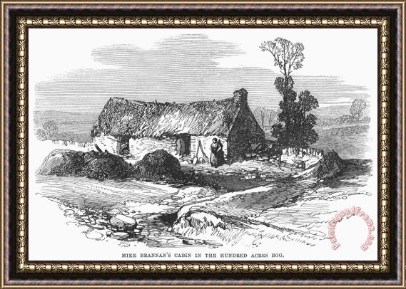Others Ireland: Cabin, 1870 Framed Print