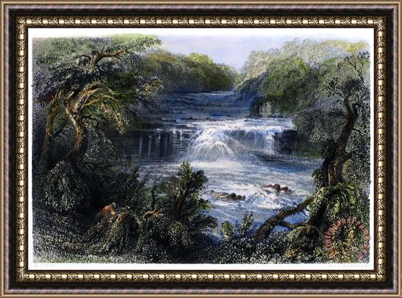 Others IRELAND: SALMON LEAP, c1840 Framed Painting