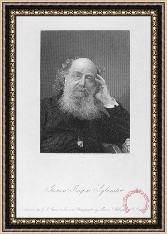 Others James J. Sylvester (1814-1897) Framed Print