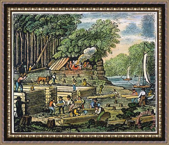 Others Jamestown: Settlement Framed Painting