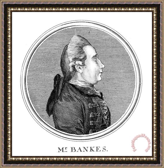 Others Joseph Banks (1743-1820) Framed Painting