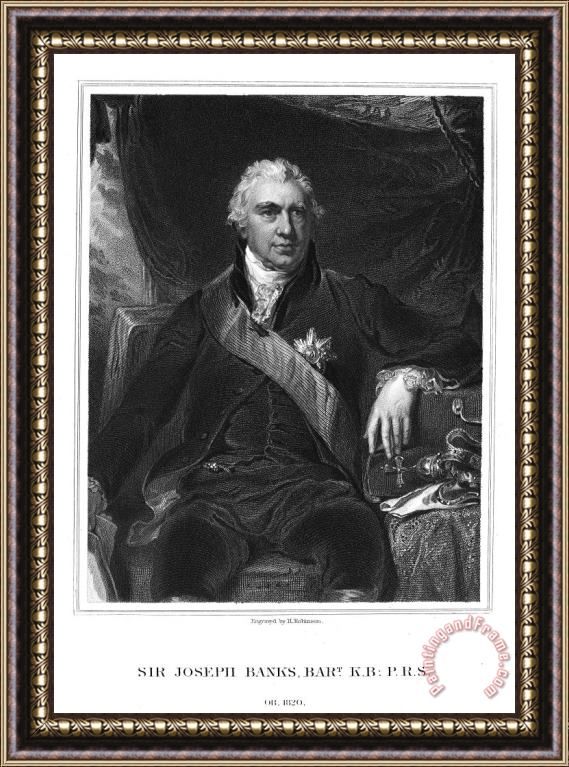 Others Joseph Banks (1743-1820) Framed Print