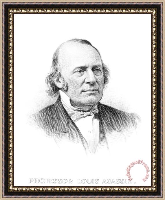 Others Louis Agassiz (1807-1873) Framed Painting
