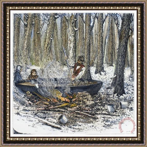 Others Maple Syrup, 1877 Framed Painting