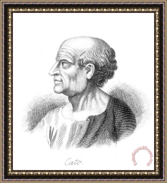 Others Marcus Porcius Cato Framed Print
