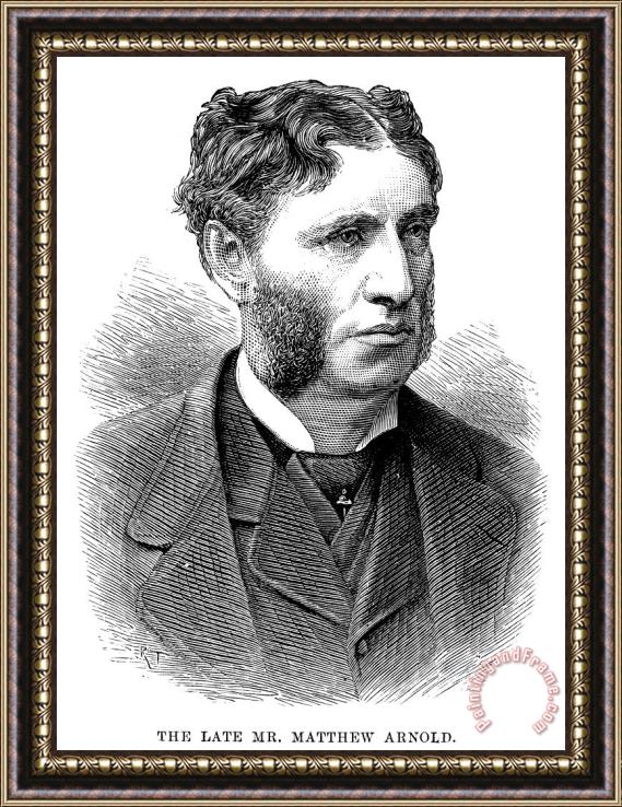 Others Matthew Arnold (1822-1888) Framed Print