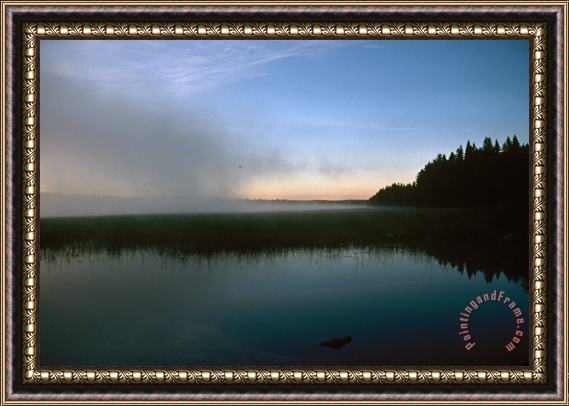 Others Minnesota: Lake Itasca Framed Print