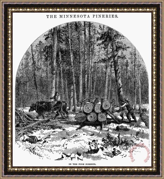 Others Minnesota: Lumbering, 1868 Framed Print