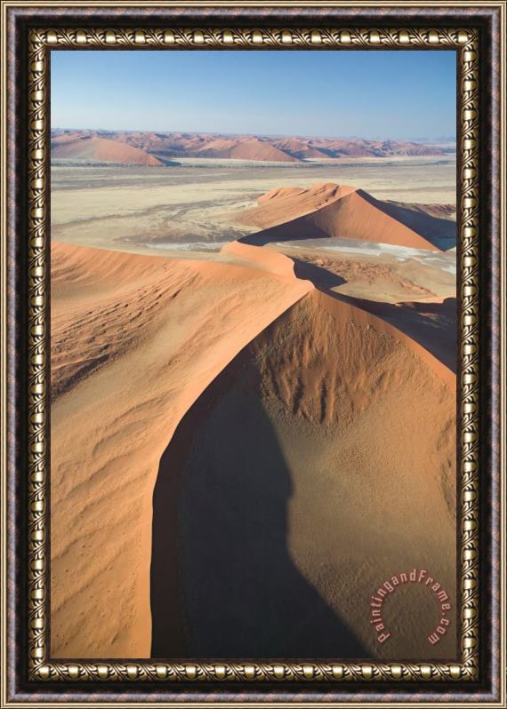 Others Namib Desert Framed Print