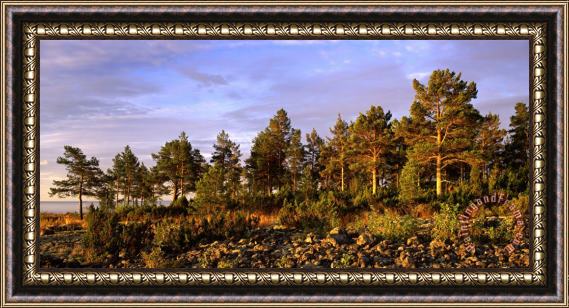 Others National Park Valaamsky Framed Painting