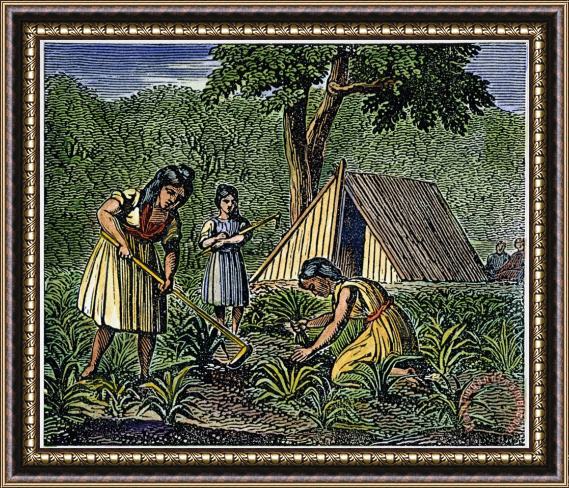 Others Native American Women: Farming, 1835 Framed Print