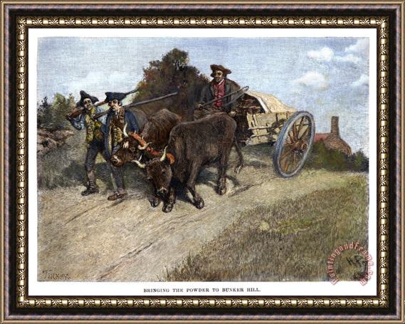 Others New Hampshire Minutemen Framed Painting