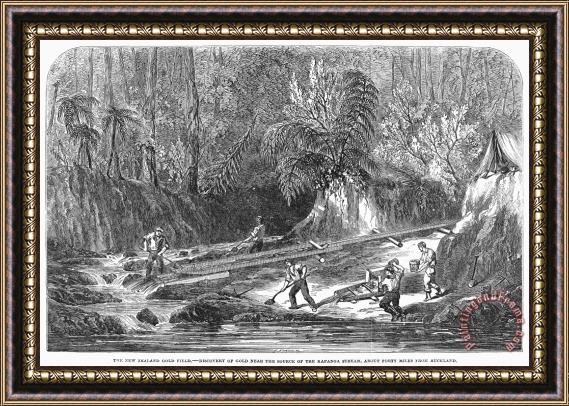 Others New Zealand: Gold Mining Framed Print