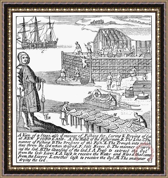 Others Newfoundland Fishery, 1738 Framed Print