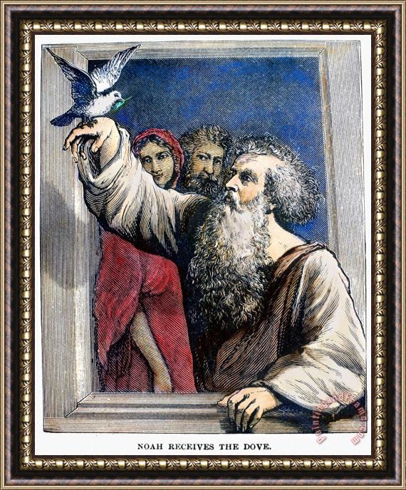 Others Noah Receives The Dove Framed Print