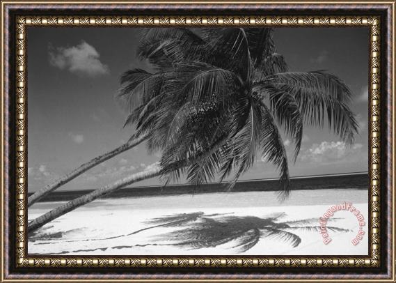 Others Palm tree shadow on sand Framed Painting