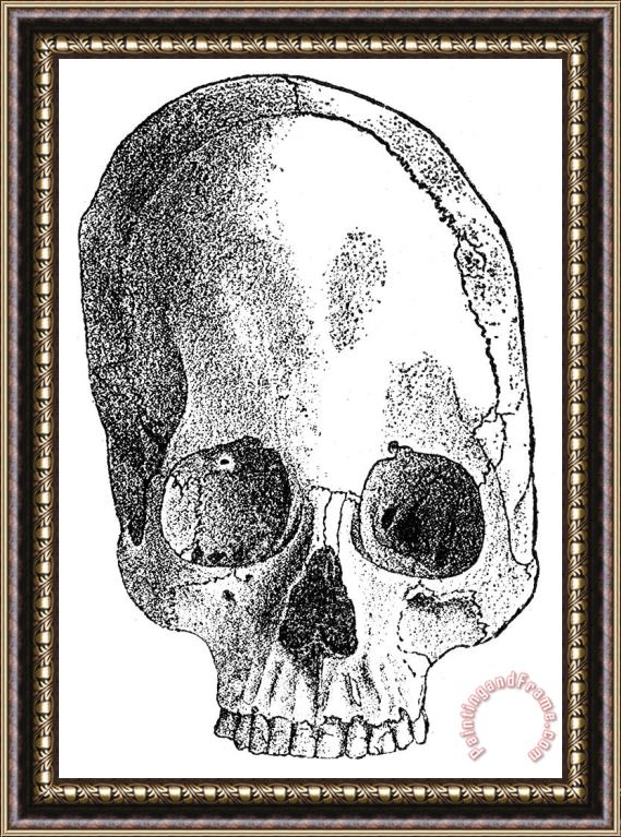 Others Peru: Aymara Skull Framed Print