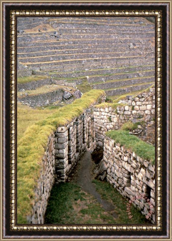 Others Peru: Machu Picchu Framed Painting