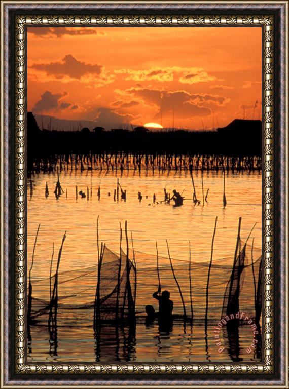 Others Philippines Manila Fishing Framed Print
